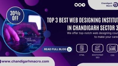 Web Designing Institute in Chandigarh Sector 34
